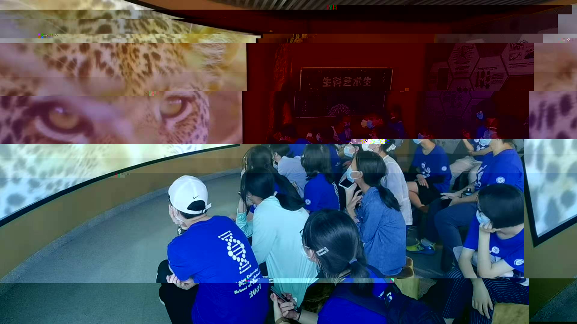 First Image